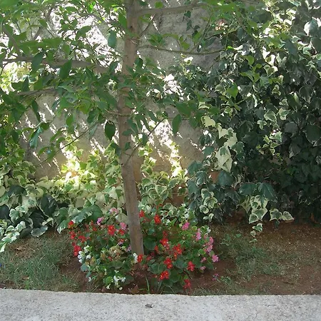 Ravkin Apartment