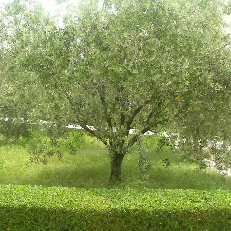 Appartamento Ravkin *