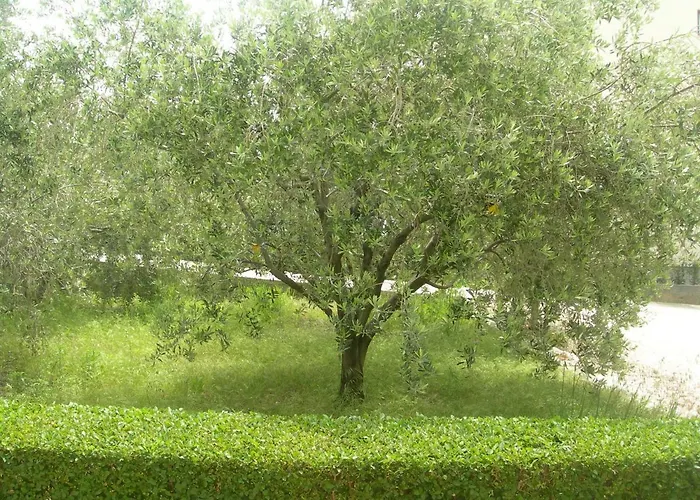 Appartamento Ravkin *